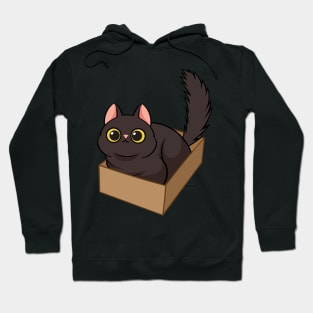 Cat in the box Hoodie